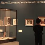 Introduction à l'exposition Lecomte. Photo A Reverseau