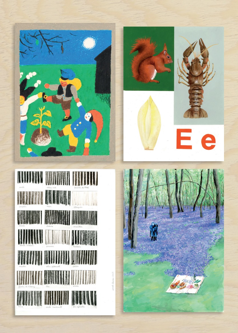 Collectionner l&rsquo;image. Littératures jeunesse et graphique