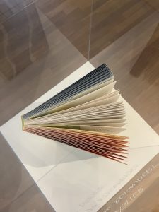 Philippe Jones, L'Un l'Autre, Bruxelles, Quadri, 2011. Aquarelles de Claude Viallat. Reliure de Jessica Astier et Camille Boisaubert, 2014. © fonds Michel Wittock | Fondation Roi Baudouin – Archives Roberts-Jones