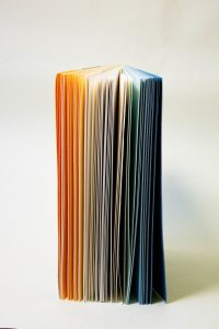 Philippe Jones, L'Un l'Autre, Bruxelles, Quadri, 2011. Aquarelles de Claude Viallat. Reliure de Jessica Astier et Camille Boisaubert, 2014. © fonds Michel Wittock | Fondation Roi Baudouin – Archives Françoise Roberts-Jones